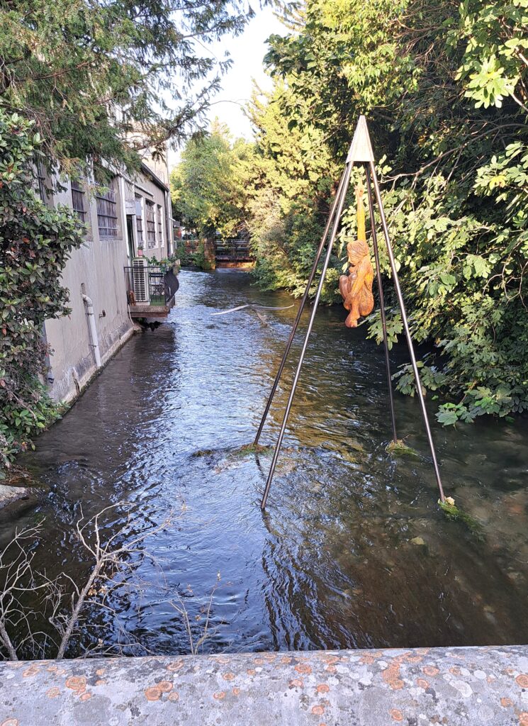 Lacher prise dans la Sorgue